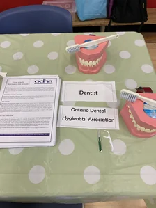 Tooth models and oral health resources for seniors at an education event